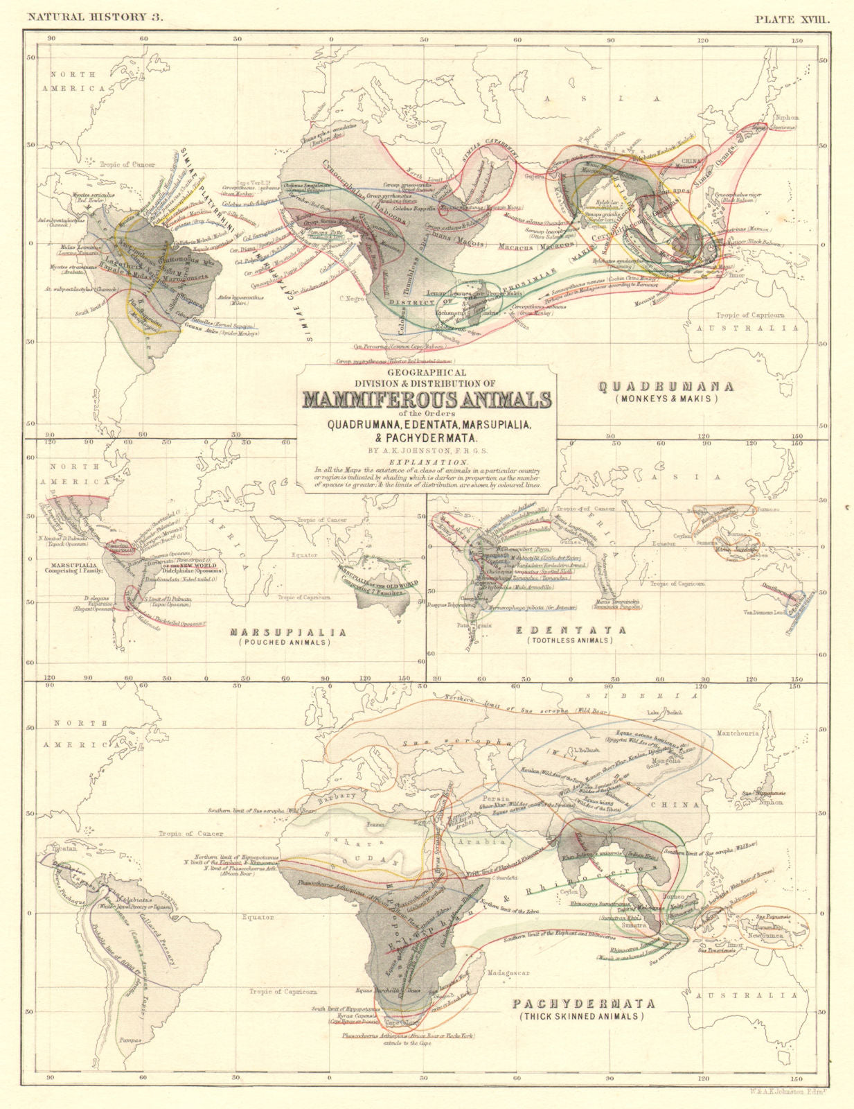 WORLD. Mammal distribution. Monkeys Edentata Marsupials Pachydermata 1850 map